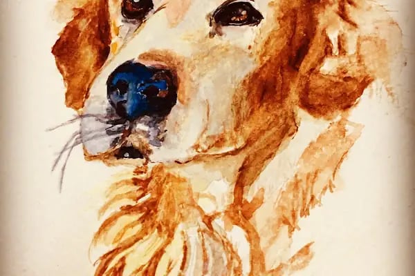 Kaleli Sanat Merkezi Meram - Resim 4