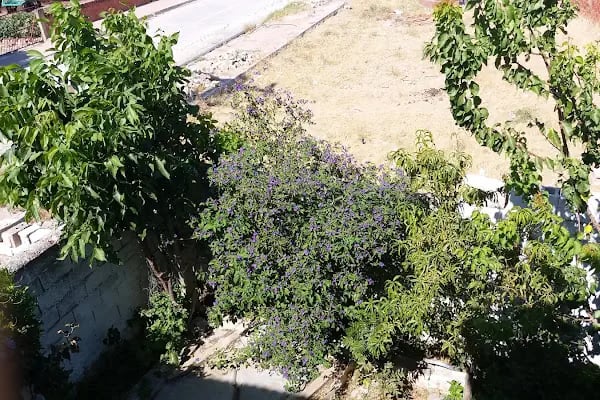 Hüsnü Özdemir Parkı - Resim 6
