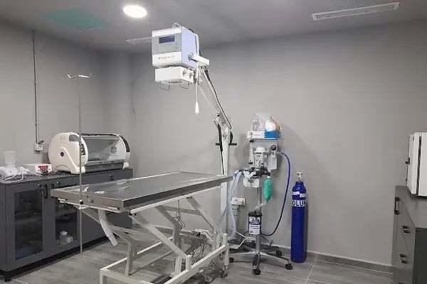 Bahçeşehir Vetlounge Veteriner Kliniği - Resim 3