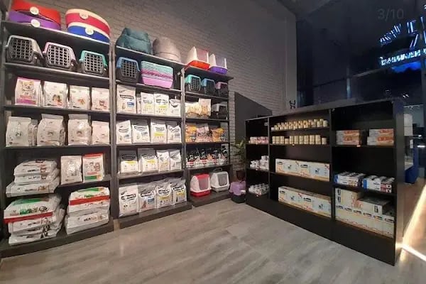 Bahçeşehir Vetlounge Veteriner Kliniği - Resim 10