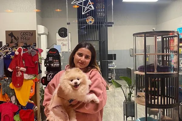 Bahçeşehir Vetlounge Veteriner Kliniği - Resim 5