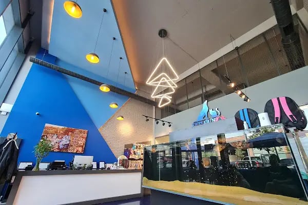 Bahçeşehir Vetlounge Veteriner Kliniği - Resim 4