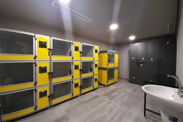 Bahçeşehir Vetlounge Veteriner Kliniği - Resim 8