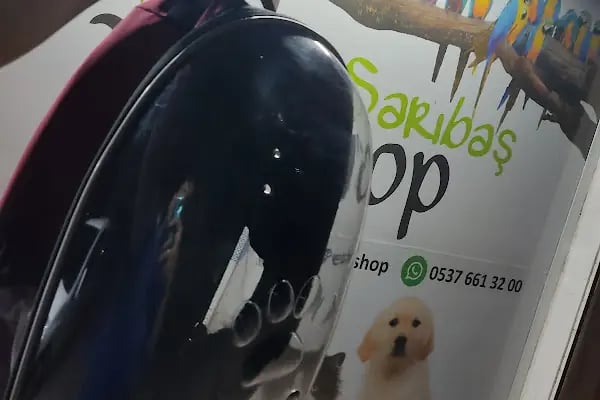 SARIBAŞ PETSHOP - Resim 7