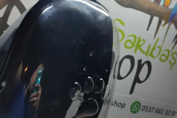 SARIBAŞ PETSHOP - Resim 10