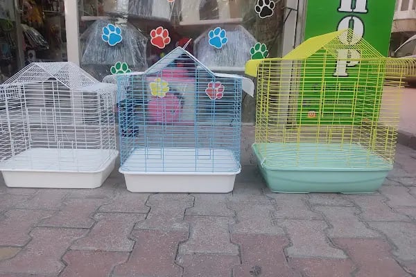 SARIBAŞ PETSHOP - Resim 15
