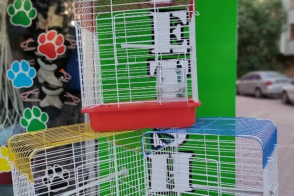 SARIBAŞ PETSHOP - Resim 6