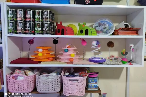 SARIBAŞ PETSHOP - Resim 17