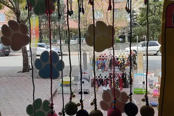 SARIBAŞ PETSHOP - Resim 5