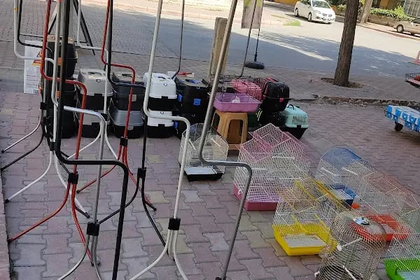 SARIBAŞ PETSHOP - Resim 2