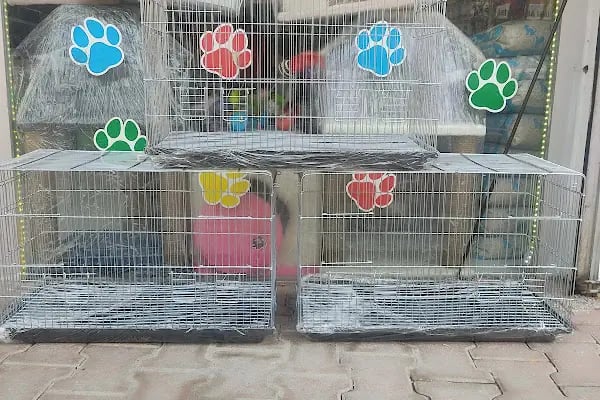 SARIBAŞ PETSHOP - Resim 9