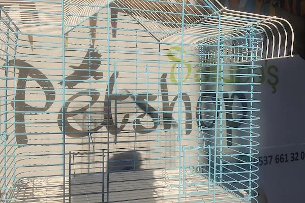 SARIBAŞ PETSHOP - Resim 3