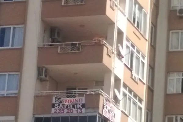 ÇB-Yaşar Bayboğan Parkı - Resim 7