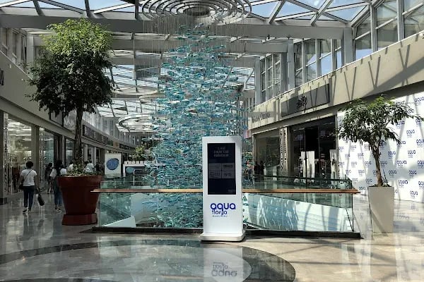 Polat Balık &amp; Kuş Galerisi - Resim 20