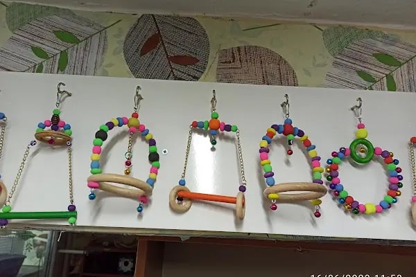 Buse Kuş ve Balık Petshop - Resim 17