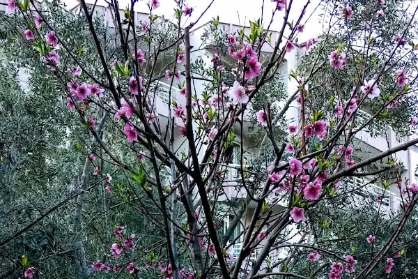Teleferik Mahallesi Parkı - Resim 14