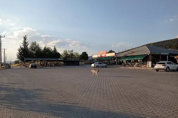 Cafe Mola Firik's - Resim 9