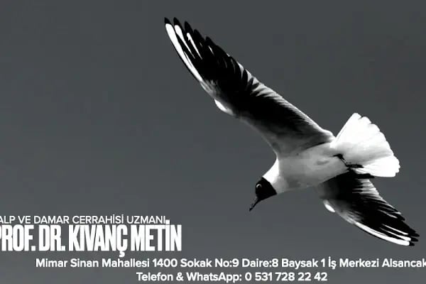 Prof. Dr. Kıvanç Metin - Resim 5