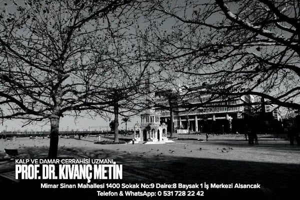 Prof. Dr. Kıvanç Metin - Resim 3