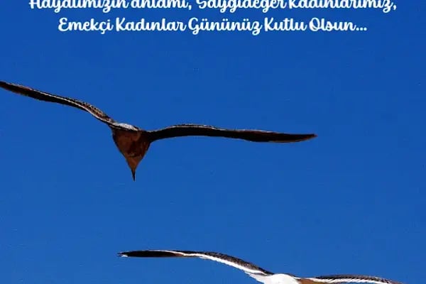 Prof. Dr. Kıvanç Metin - Resim 11