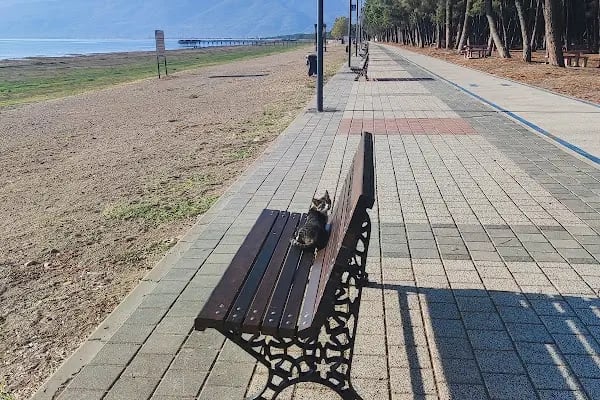 Orhangazi Belediyesi Tenis Kortları - Resim 17