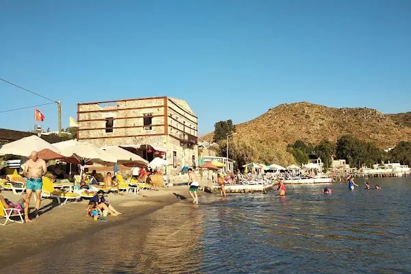 Bitez dondurma akyarlar - Resim 8