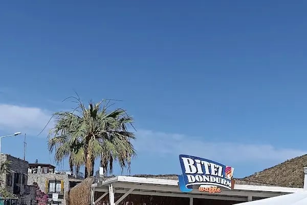 Bitez dondurma akyarlar - Resim 12