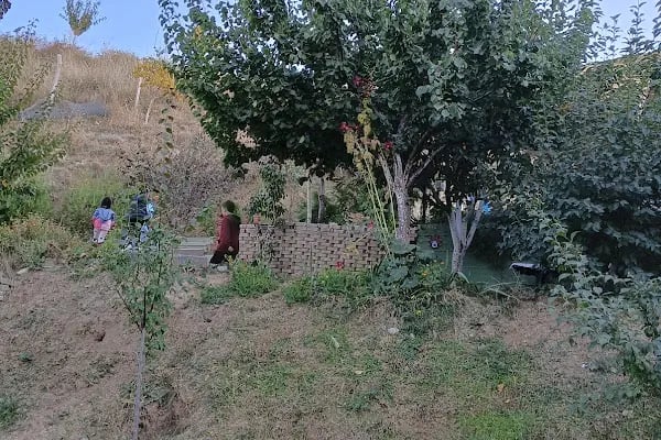 Nefis Bahçe - Resim 8