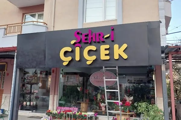 Şehr-i Çiçek - Resim 1