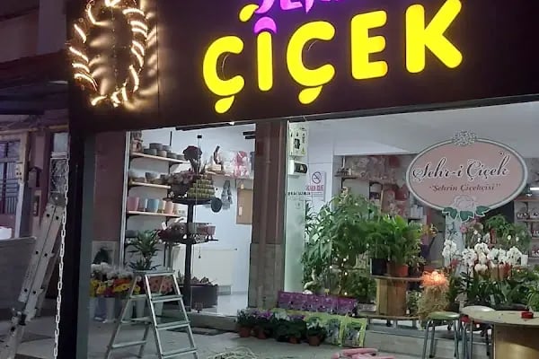 Şehr-i Çiçek - Resim 2