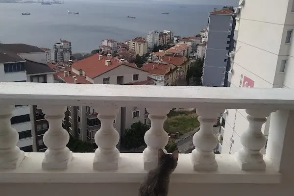Güraş Sitesi - Resim 11