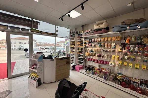 Pet Club Petshop - Resim 11