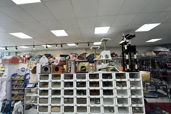 Pet Club Petshop - Resim 15