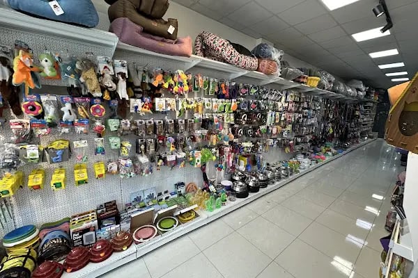 Pet Club Petshop - Resim 16
