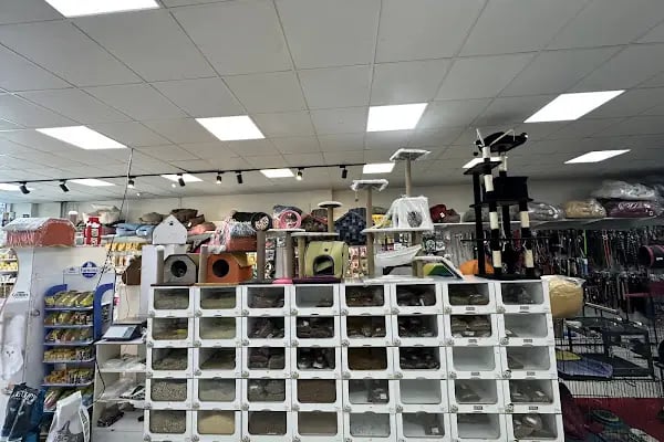 Pet Club Petshop - Resim 19