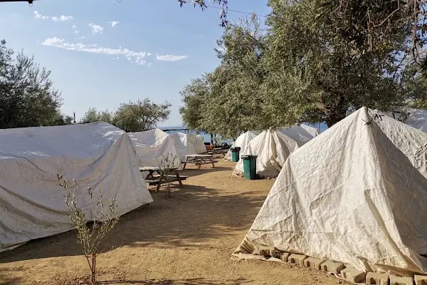 Kamp OLive - Resim 19