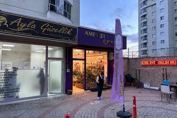 Ametist Çiçek Evi - Resim 2