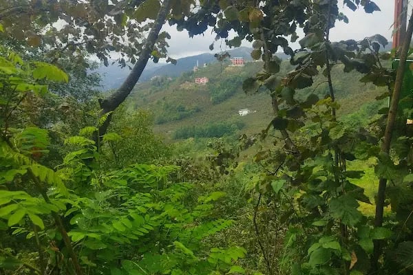Gugara Dinlenme Tesisi - Resim 4