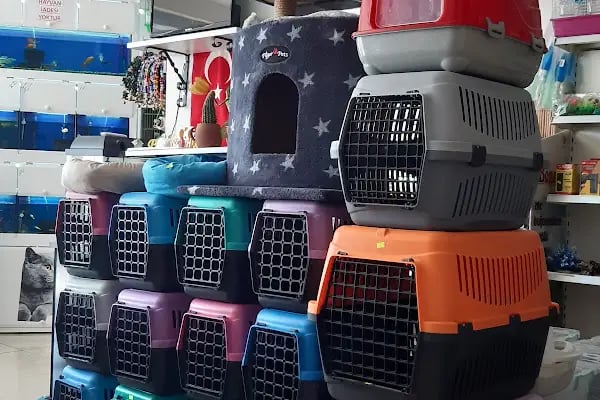 RED PETSHOP - Resim 8
