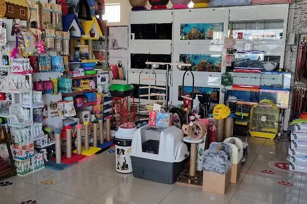 RED PETSHOP - Resim 18