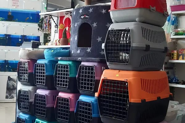 RED PETSHOP - Resim 11