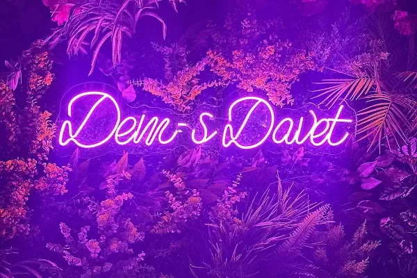 Dems davet salonu - Resim 10