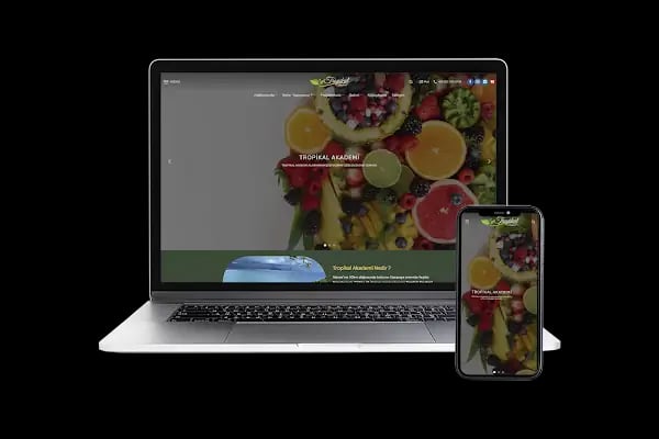 Alanya Web Tasarım - S Plus Web - Resim 4