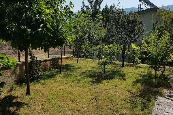 Pendosis Tatil Köyü - Resim 16