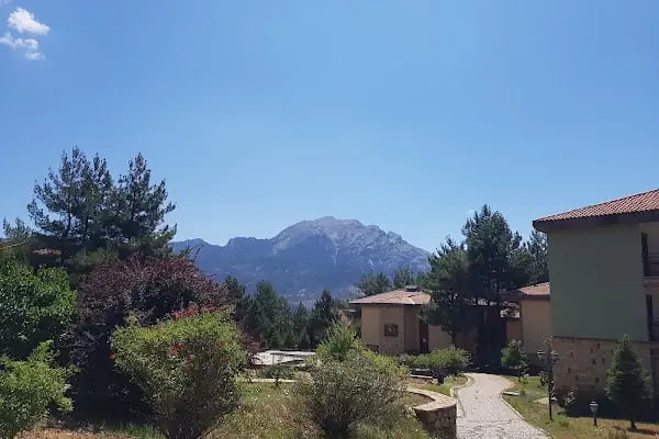 Pendosis Tatil Köyü - Resim 3
