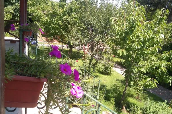 Pendosis Tatil Köyü - Resim 17