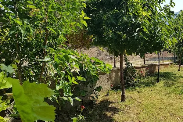 Pendosis Tatil Köyü - Resim 9