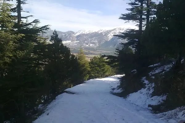 Pendosis Tatil Köyü - Resim 15