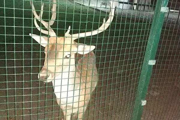 Keçiören Belediyesi Kalaba Spor Merkezi ve Yüzme Havuzu - Resim 15