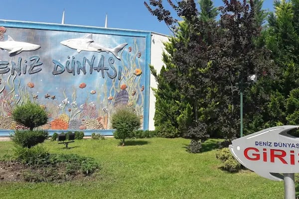 Keçiören Belediyesi Kalaba Spor Merkezi ve Yüzme Havuzu - Resim 7